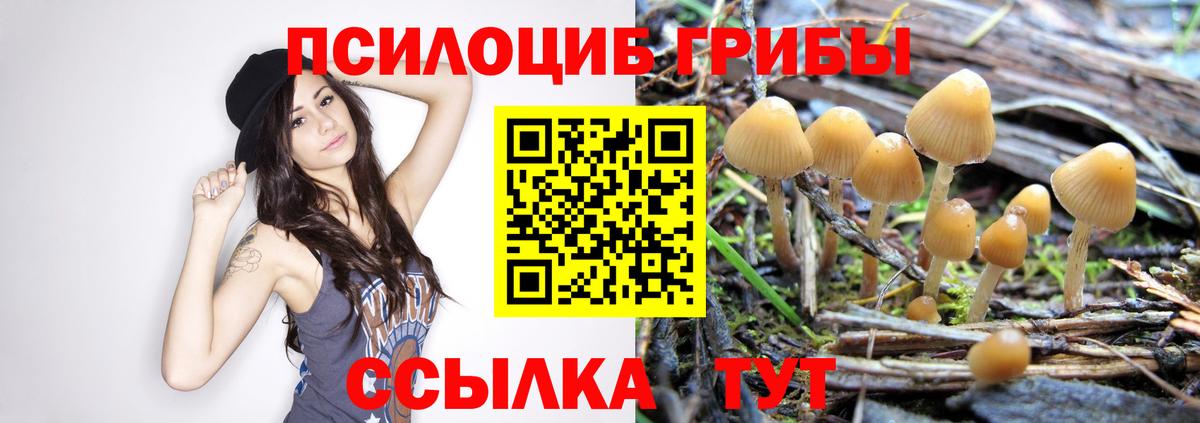 Галлюциногенные грибы MAGIC MUSHROOMS Батайск